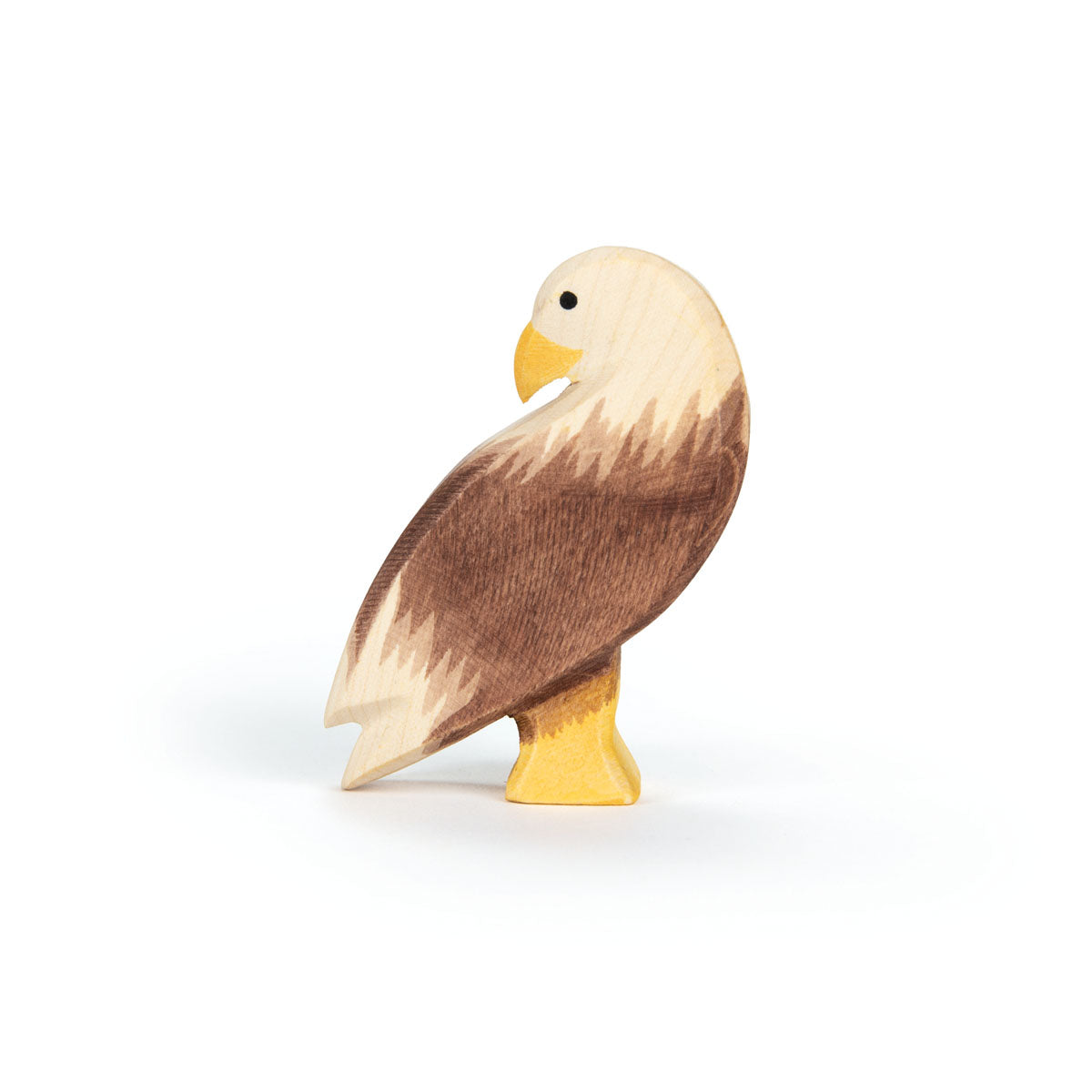 Ostheimer Seeadler stehend