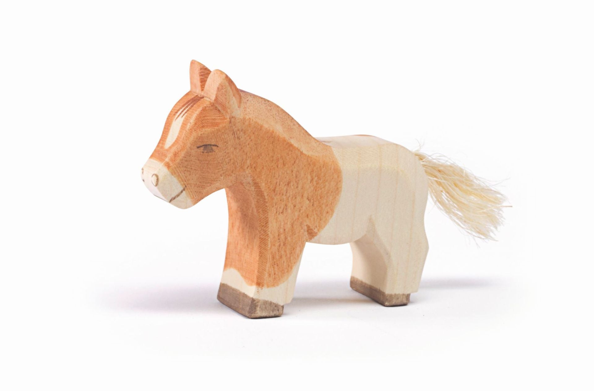 Ostheimer Shetland Fohlen
