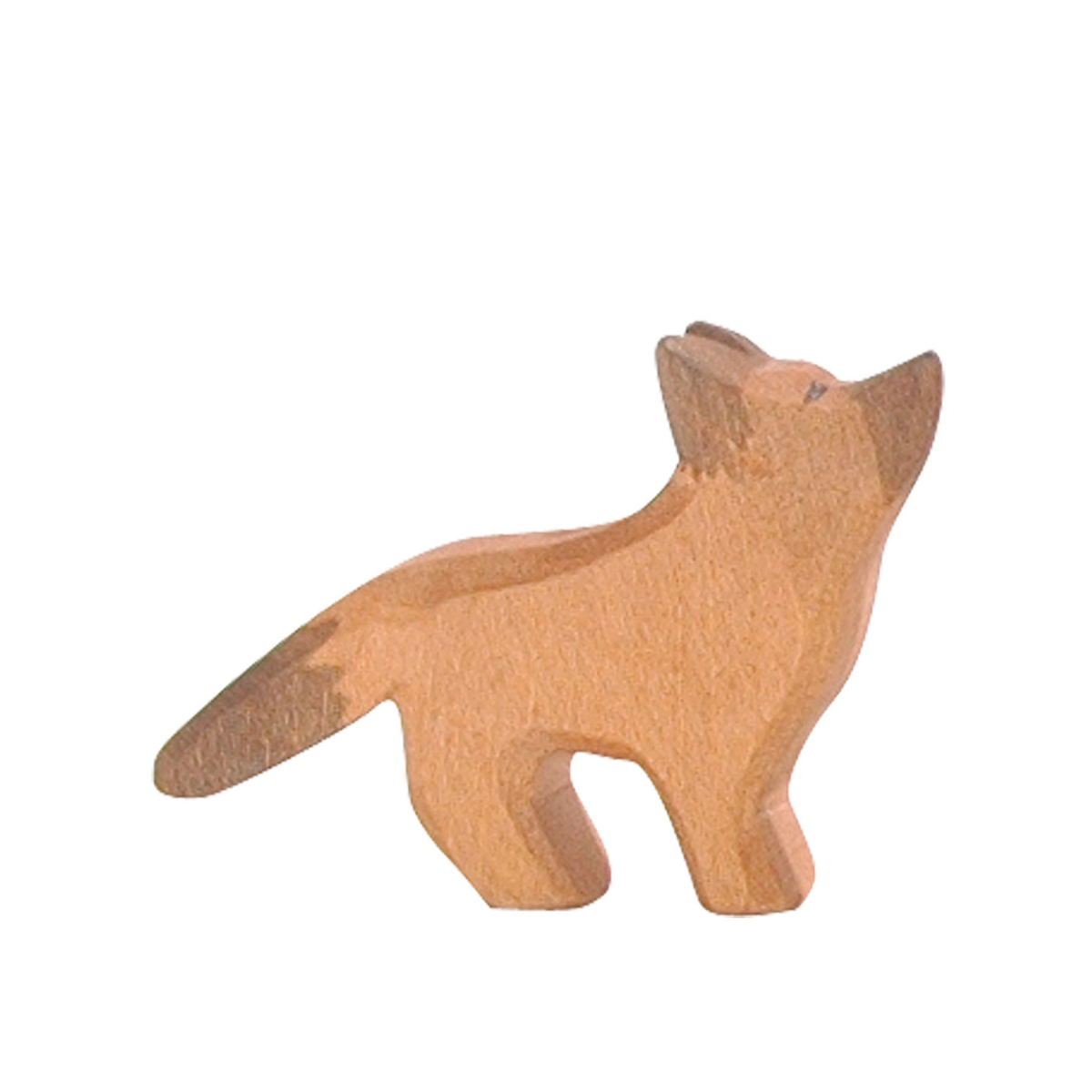 Ostheimer-Schäferhund klein kopf hoch