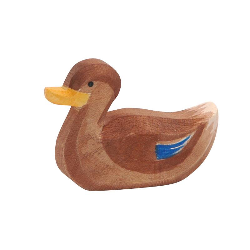Ostheimer-Ente schwimmend