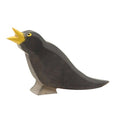 Ostheimer-Amsel