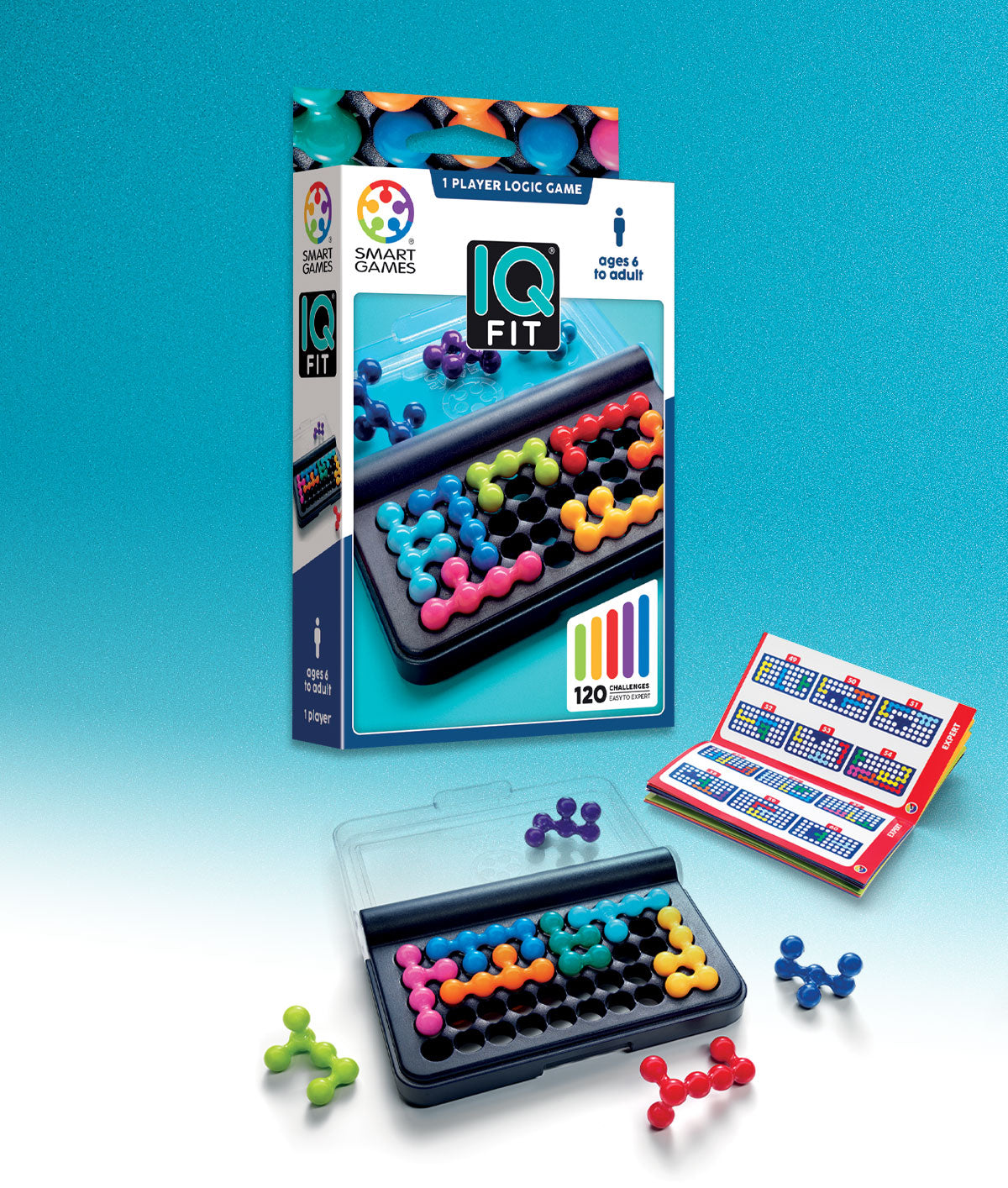 Smart Game IQ Puzzle Fit