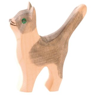 Ostheimer-Katze klein Kopf hoch